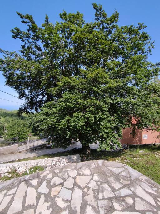Nature Escape Montenegro Kotor Exterior foto