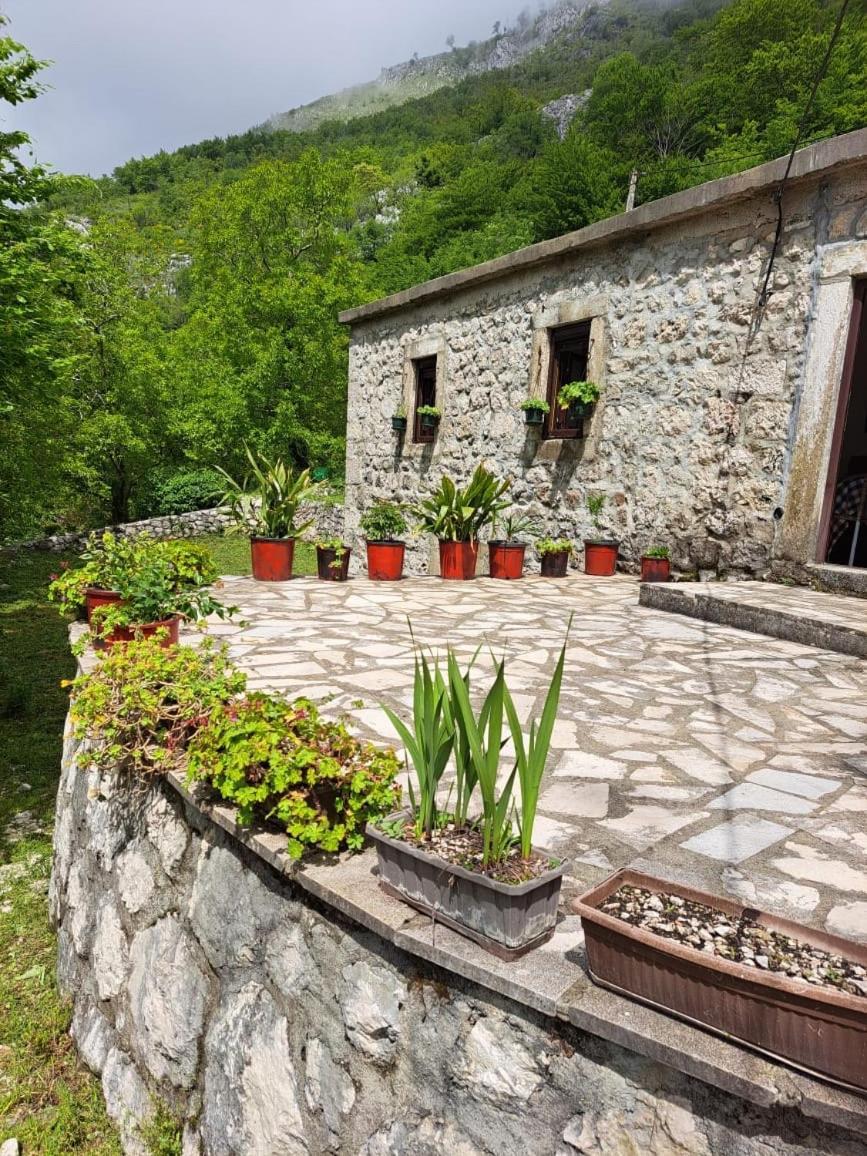 Nature Escape Montenegro Kotor Exterior foto