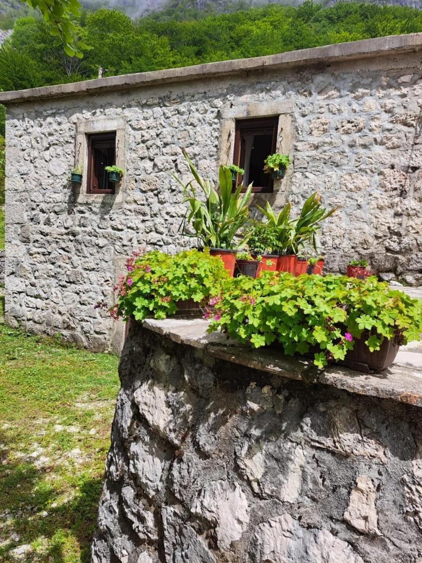 Nature Escape Montenegro Kotor Exterior foto