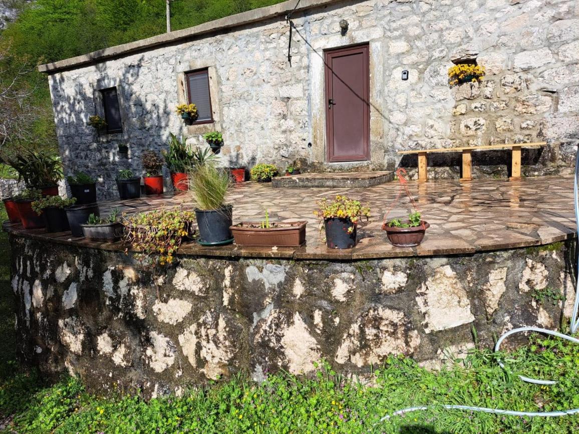 Nature Escape Montenegro Kotor Exterior foto