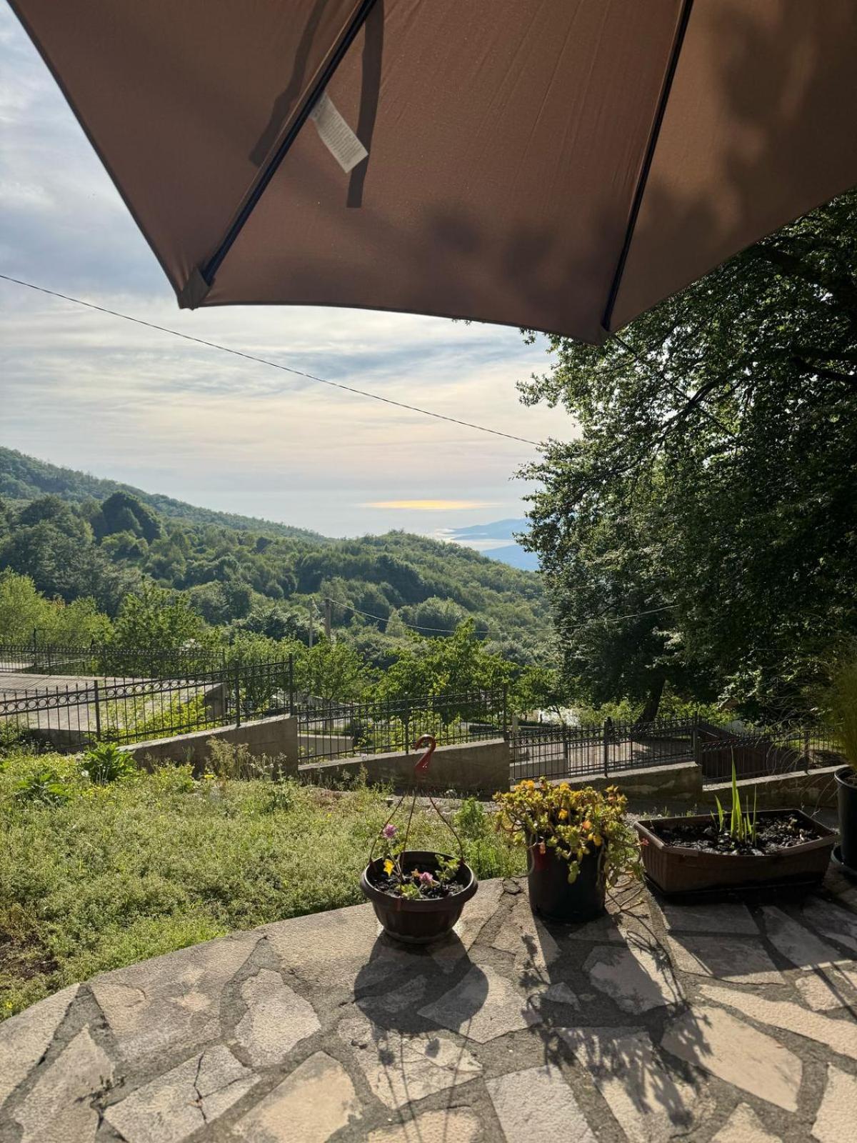 Nature Escape Montenegro Kotor Exterior foto