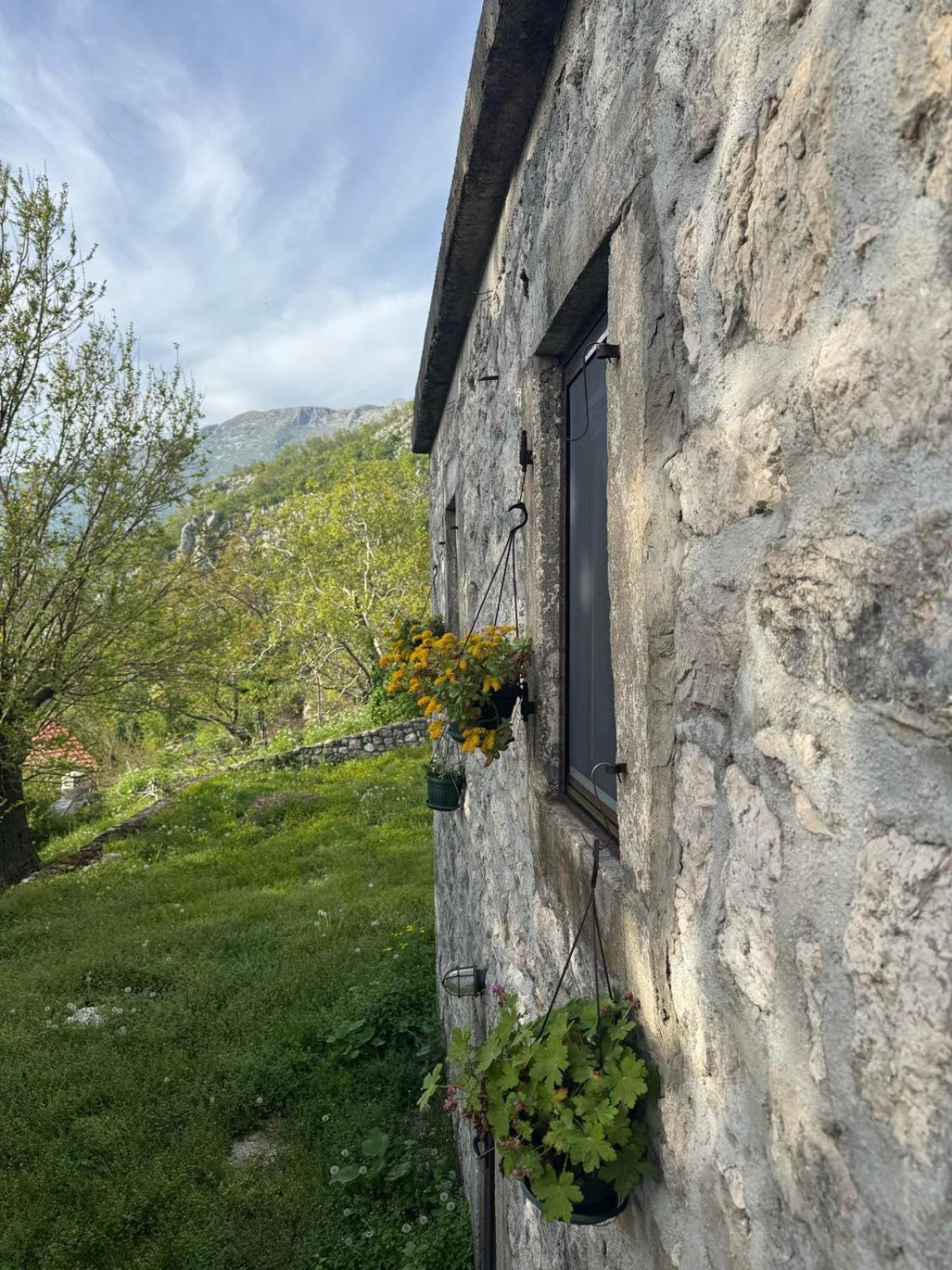 Nature Escape Montenegro Kotor Exterior foto
