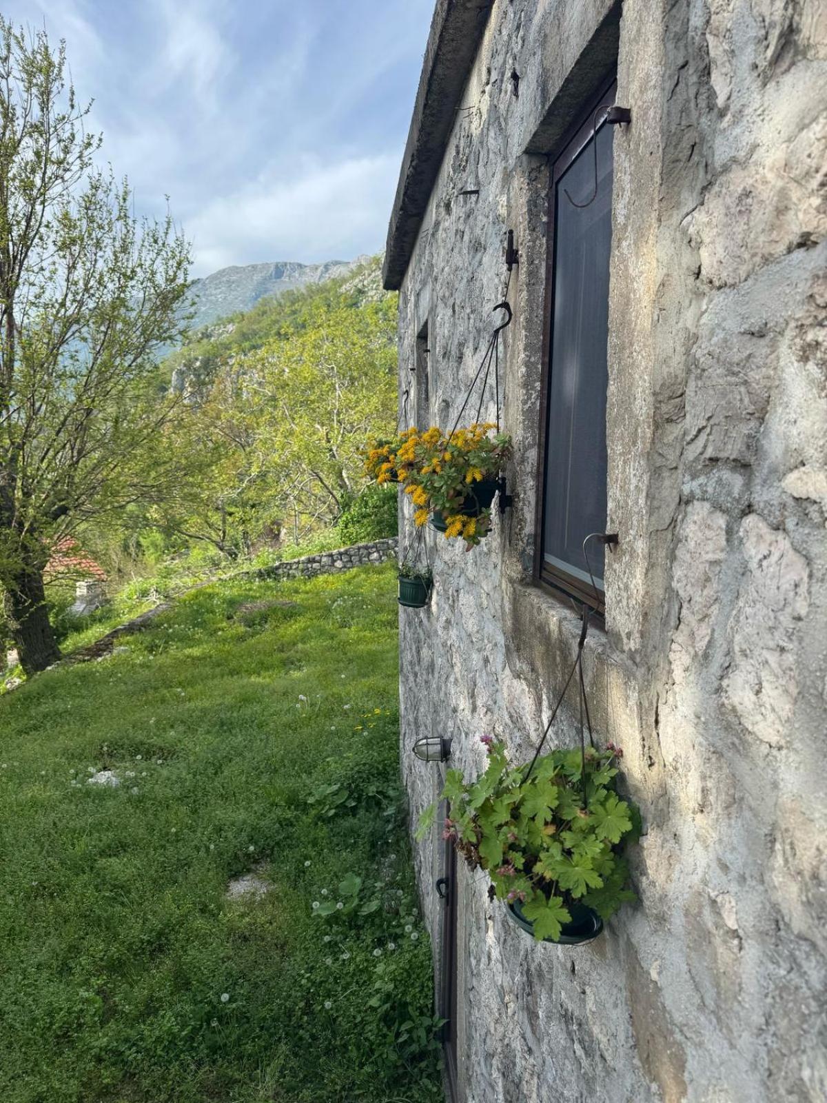 Nature Escape Montenegro Kotor Exterior foto