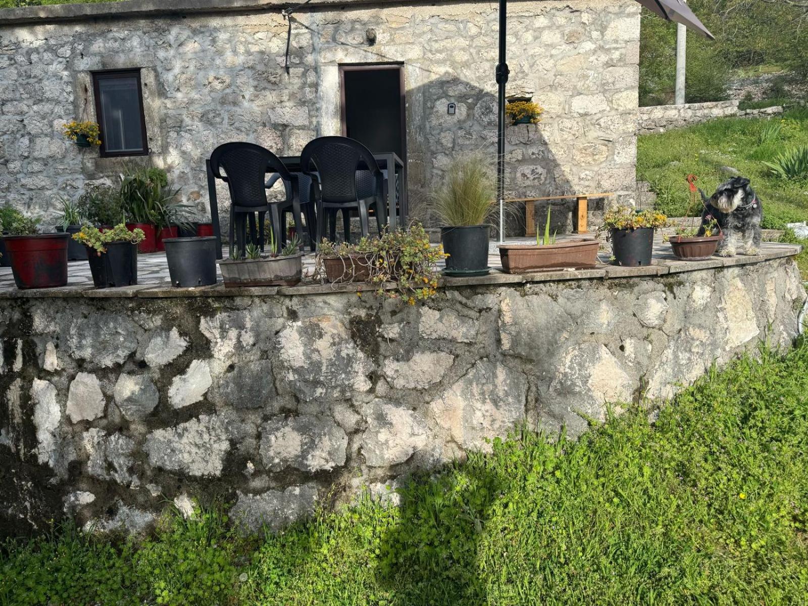 Nature Escape Montenegro Kotor Exterior foto